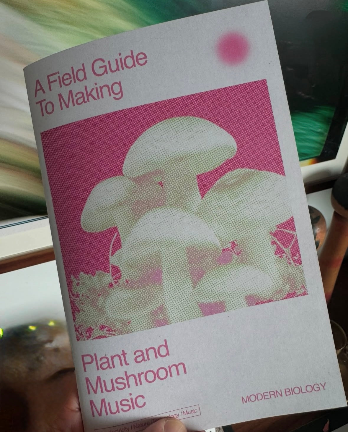 A Field Guide to Making Plant and Mushroom Music