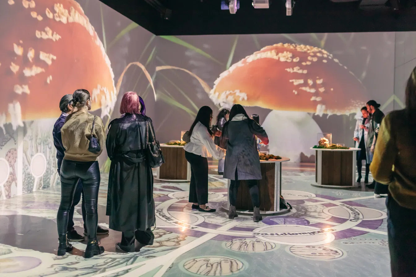 Visitors inside the projection-mapped mushroom room