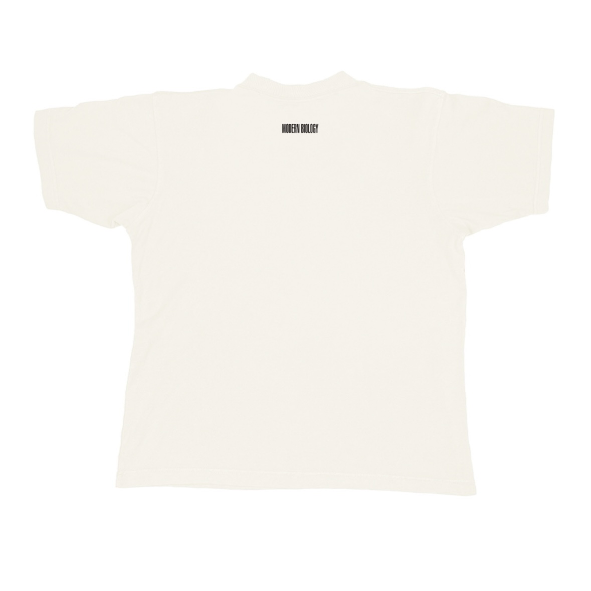 Mushroom Church T shirt