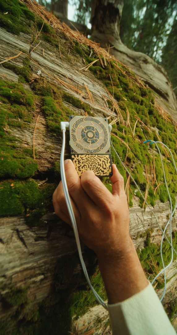Pocket SCÍON