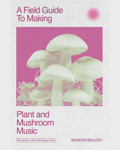 A Field Guide to Making Plant and Mushroom Music