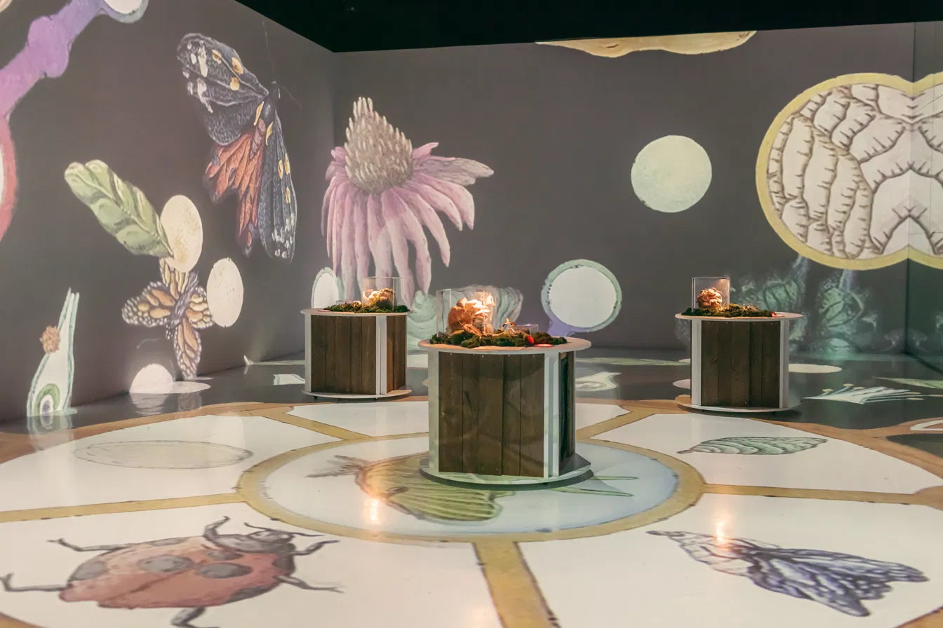 The Mushroom Music room at Arcadia Earth