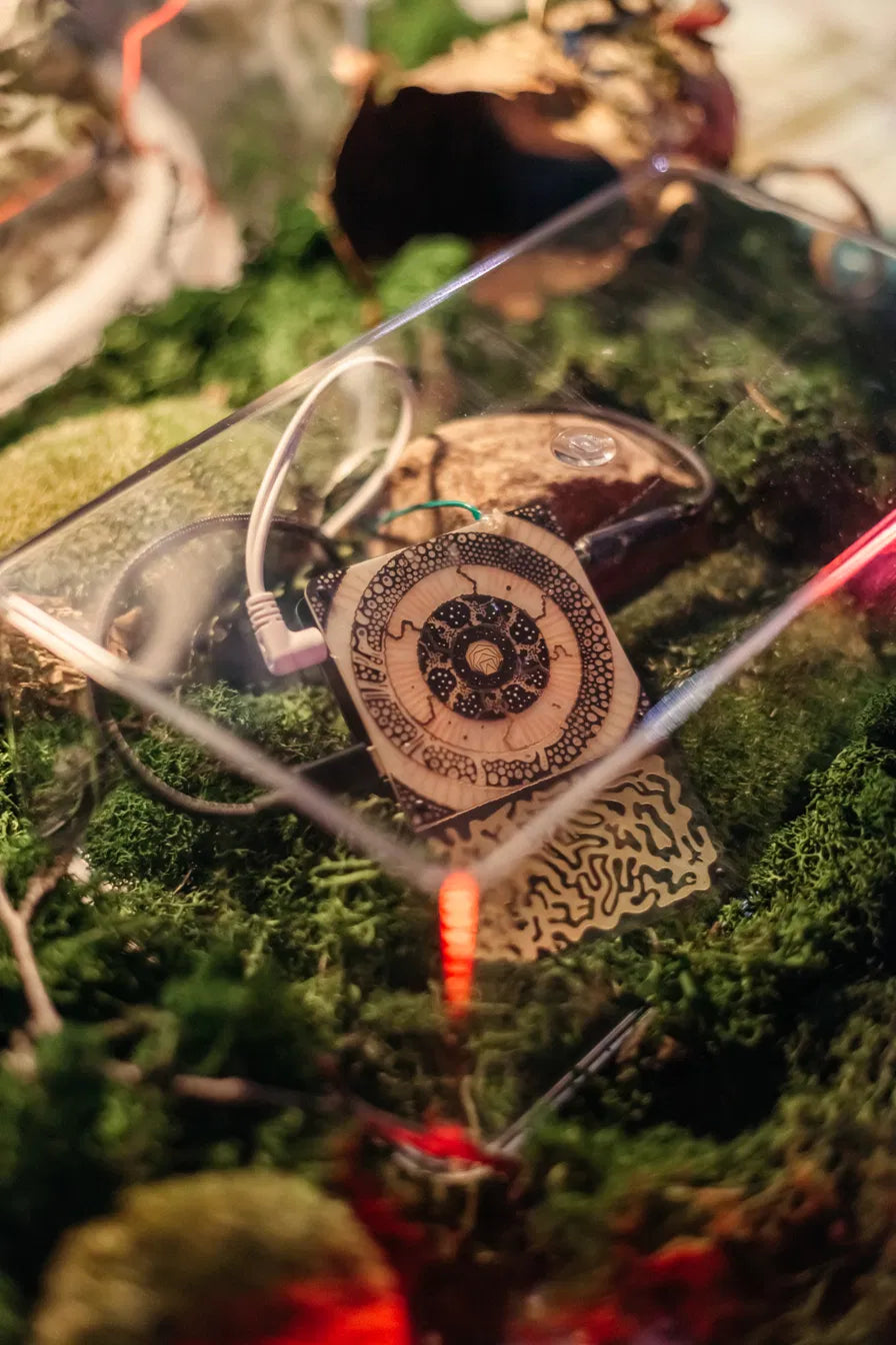 The Pocket Scion device nestled in moss