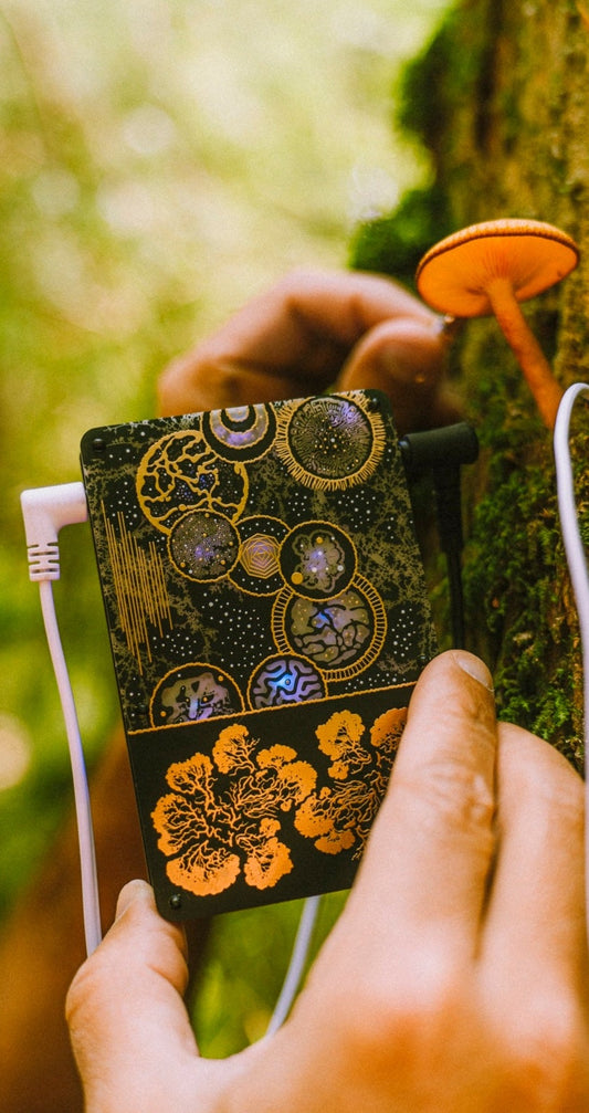 Pocket SCÍON Mycelium Edition held up to an orange mushroom on a mossy tree