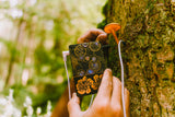 Pocket SCÍON Mycelium Edition clipped to a mushroom on a tree